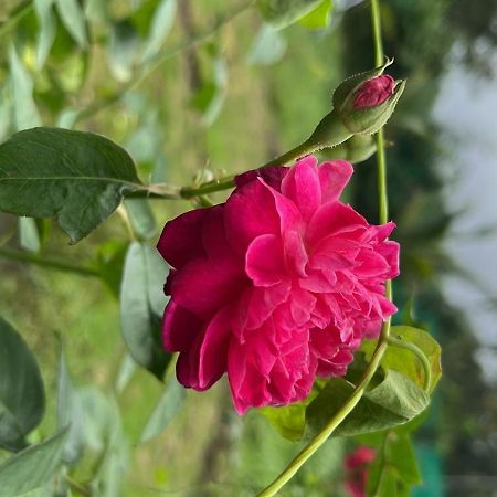 Chaitanya Farms Karjat Dış mekan fotoğraf