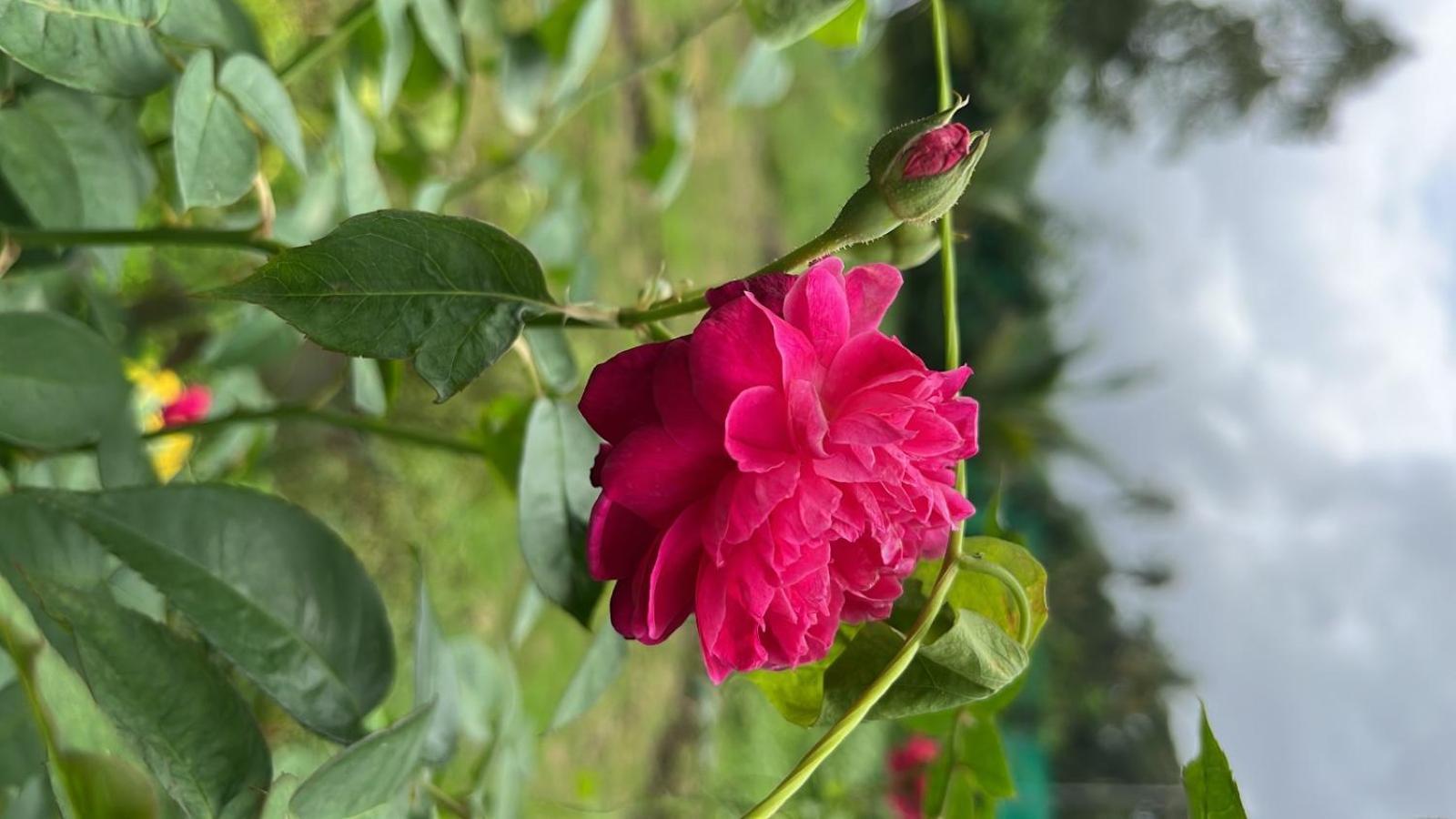 Chaitanya Farms Karjat Dış mekan fotoğraf
